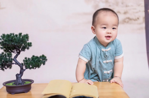 昌吉可爱的企鹅宝宝